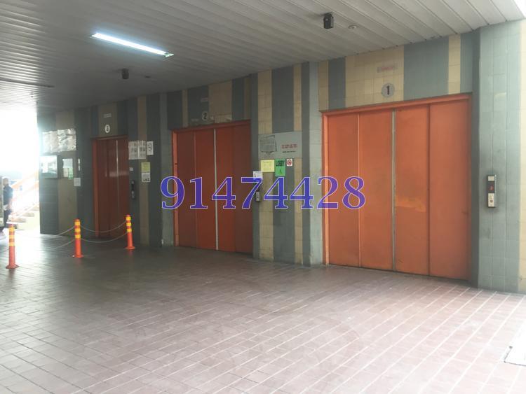 Ruby Warehouse Complex (D14), Office #143761652